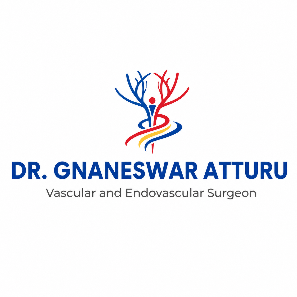 Dr Gnaneswaratturu logo